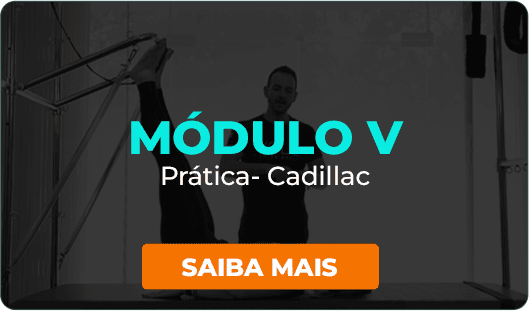 Módulo 05